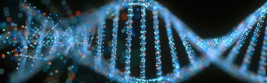 Bio-Health Informatics